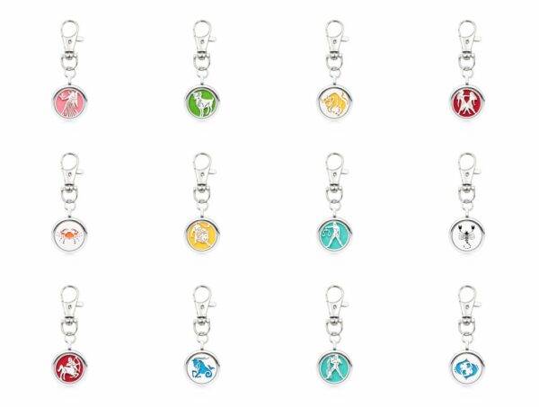 10400258417_117151780 Wholesale Alloy Zodiac Aromatherapy Essential Oil Keychain