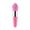 Wholesale Plastic Handle Wet and Dry Sponge Puff BB Cream Makeup Tools