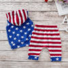 10744664430_1343740196 Wholesale Boys American Flag Tracksuit Polyester Baby Clothes