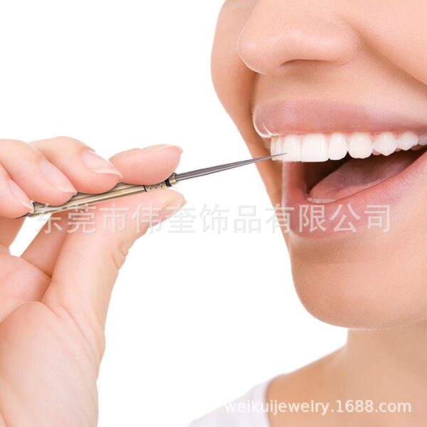 Wholesale brass integrated creative portable fruit pick stainless steel multifunctional titanium alloy toothpick