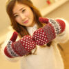 Wholesale Double Layer Thick Warm Pack Mittens Wool Gloves