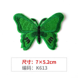 K613