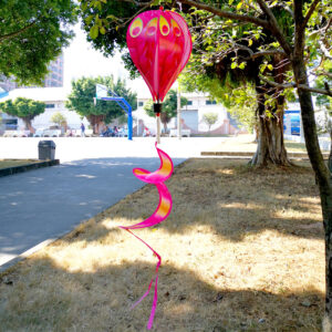 Hot air balloon (Peacock)