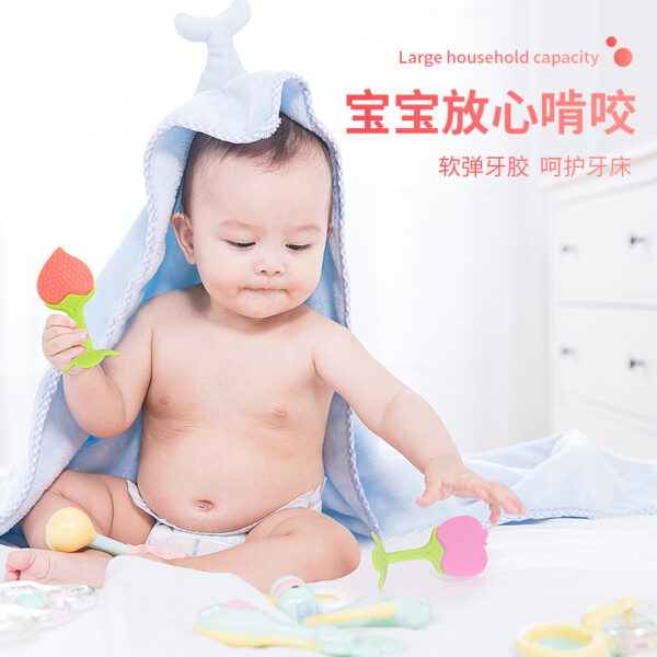 Wholesale Fruit Teether Baby Silicone TOY