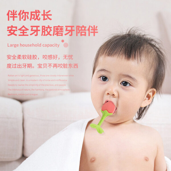 Wholesale Fruit Teether Baby Silicone TOY