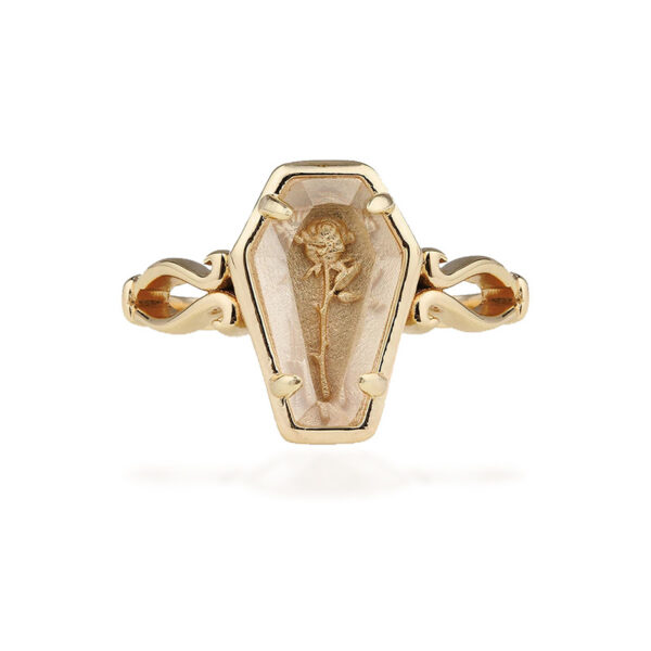 18199028262_669369530 Wholesale Goth Theme Vintage Rose Coffin Alloy Rings