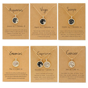 Wholesale Golden Zodiac Sign Coin Clavicle Chain Sweater Chain