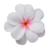 Wholesale Fabric Frangipani Silk Flower
