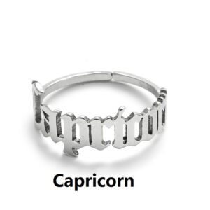 CAPRICORN STEEL / Opening adjustable