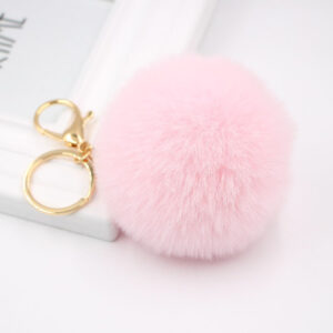 Shallow powder / Gold key chain