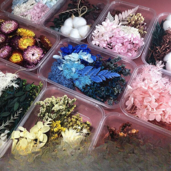 5518789ae6845fd3c4b81e240faac764 Wholesale Eternal Flower Baby's Breath Daisy Dried Flower Floating Flower Pressed Flower Kindergarten Handmade Flower Art Diy Filling Material