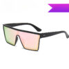 6f58c1af31dd6b5a7285c15d5077d4d6 Wholesale PC Large Frame Sunscreen Sunglasses