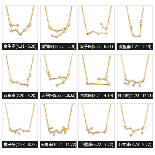 7432980466_2130544268 Wholesale Zircon Twelve Constellations Guardian Necklace Collarbone Chain