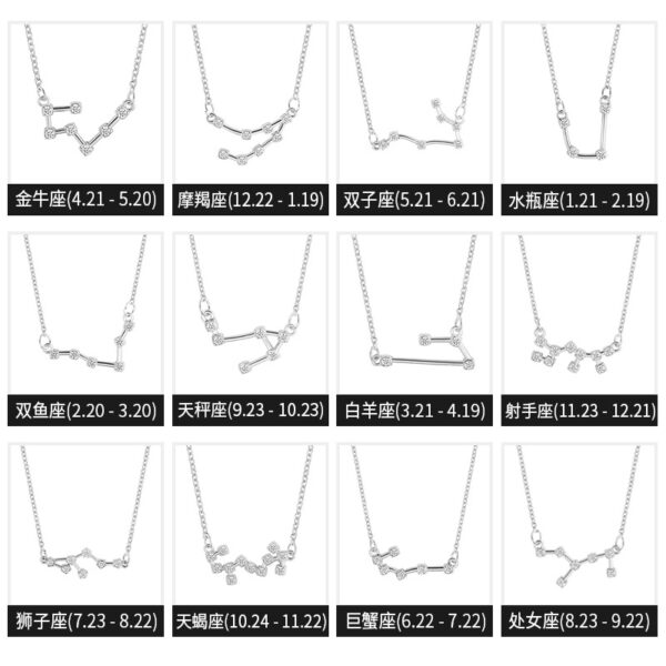 7444150273_2130544268 Wholesale Zircon Twelve Constellations Guardian Necklace Collarbone Chain