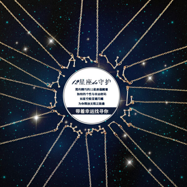 7453190236_2130544268 Wholesale Zircon Twelve Constellations Guardian Necklace Collarbone Chain