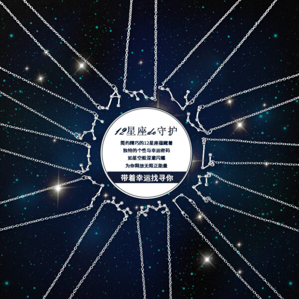 7453208075_2130544268 Wholesale Zircon Twelve Constellations Guardian Necklace Collarbone Chain