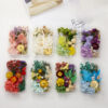 Wholesale DIY Handmade Mixed Dried Flowers Boxed Material Package Real Flowers Natural Air-dried Decorative Ornaments Dripping Glue Flower Material