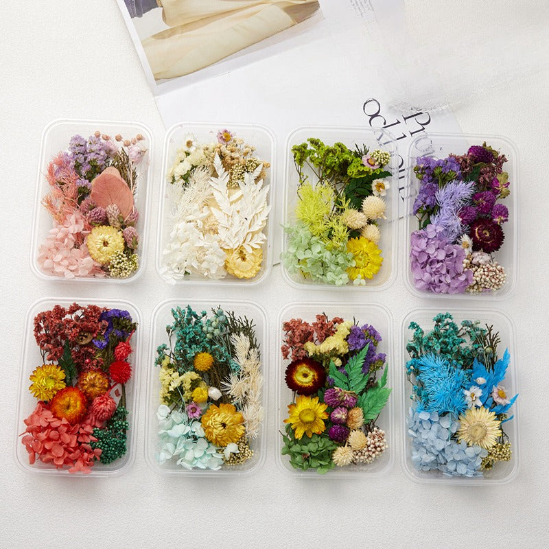 Wholesale DIY Handmade Mixed ied Flowers Boxed Material Package Real Flowers Natural Air-ied Decorative Ornaments ipping Glue Flower Material
