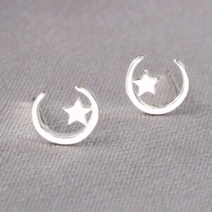 The Stars of 21 / 925 ear needles