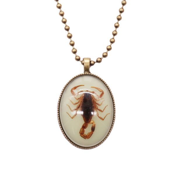 Wholesale Amber Insect Resin Necklace