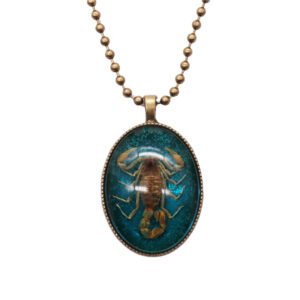 Starting from 12 fluorescent blue