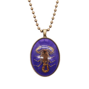 Starting from 12 fluorescent purple