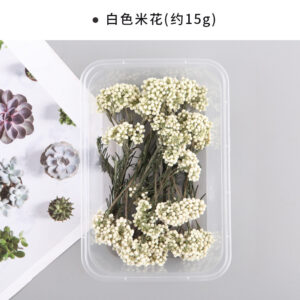 White millet flower 10g
