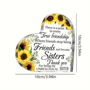 Six chrysanthemums friends