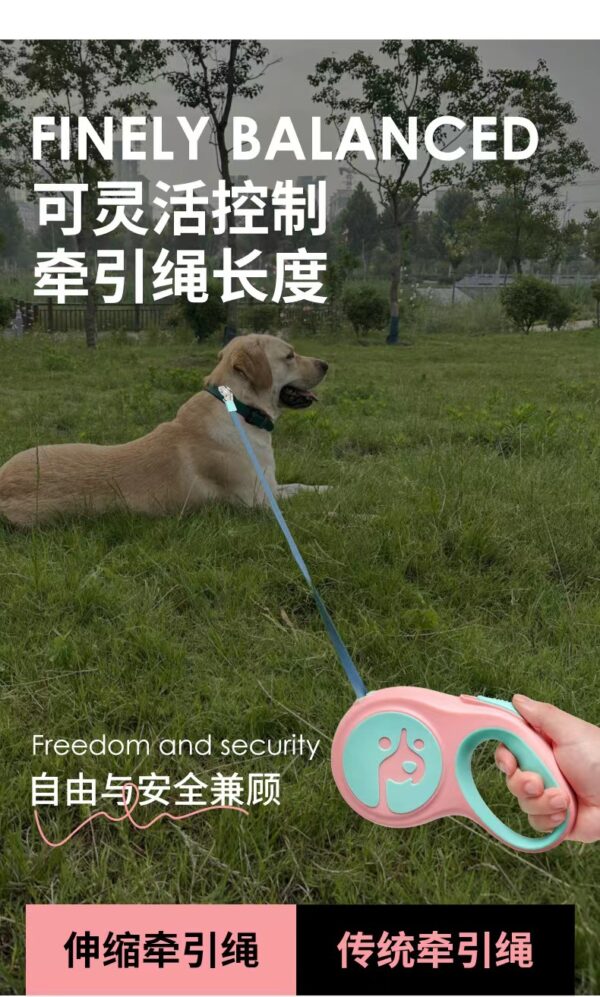 Wholesale Pet Anti-lost Small and Medium-sized Dog Walking Leash Artifact