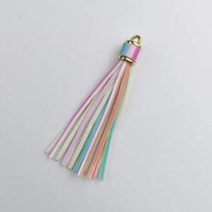 Colorful Tassel 1
