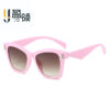Wholesale PC Cat Eye Sunglasses