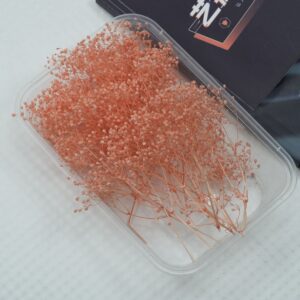 Xiacao pink 10g