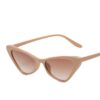 Wholesale Small Frame Cat Eye PC Sunglasses