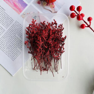 Red lover grass 10g