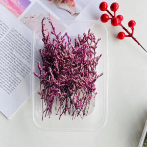 Purple lover grass 10g