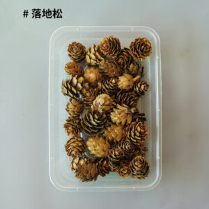 About 30 fish scales pine