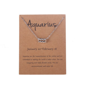 Aquarius Aquarius Silver
