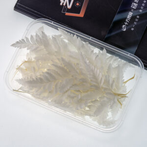 White version of alpine sheep teeth 10g