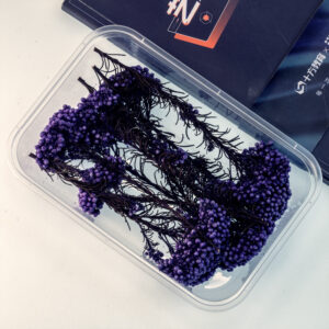 Purple millet flower 10g