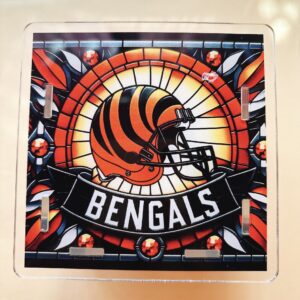 N010-NFL rugby pen holder