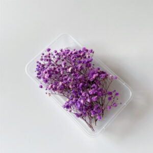 Purple gypsophila 10g