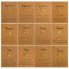 Wholesale of Twelve Constellations Necklaces and Collarbone Chains