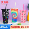 Wholesale Single Layer Temperature Sensitive Color Changing Plastic Cup
