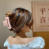 Wholesale Colorful Checkerboard Shark Clip Acrylic Hair Clip