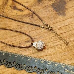 Eucalyptus fruit style