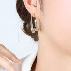 F815-Steel earrings