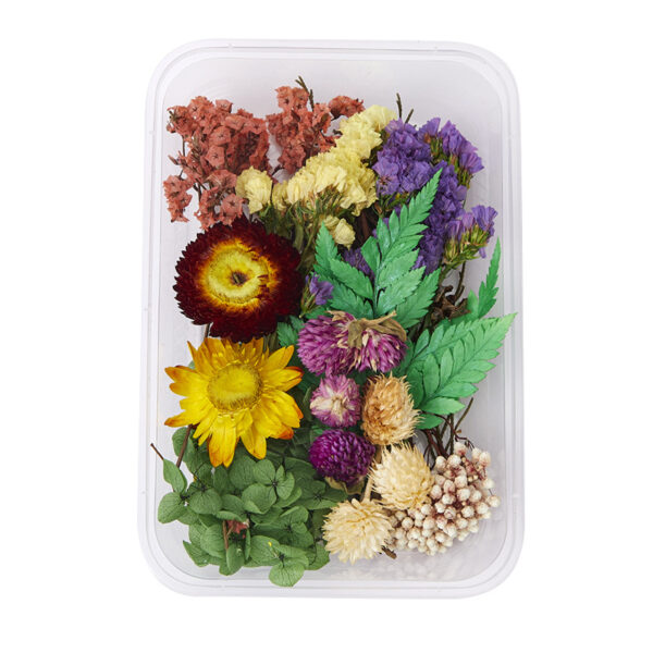 Wholesale DIY Handmade Mixed Dried Flowers Boxed Material Package Real Flowers Natural Air-dried Decorative Ornaments Dripping Glue Flower Material