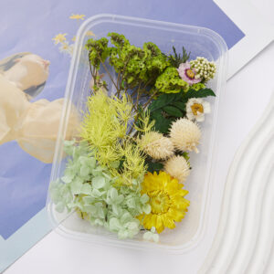 2# spring dry flower box