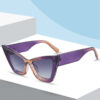 O1CN018L4huJ1u2tJSIbpcx__1008195980-0-cib Wholesale Retro Triangular Cat Eye PC Sunglasses