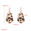 Wholesale Alloy Diamond Super Flash Leather Earrings